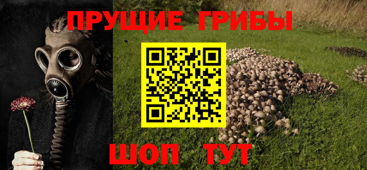 Псилоцибиновые грибы GOLDEN TEACHER  Вход с VPN  Бахчисарай 
