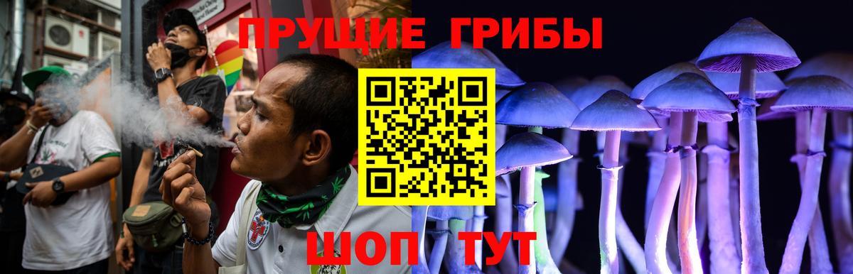 Псилоцибиновые грибы GOLDEN TEACHER Бахчисарай